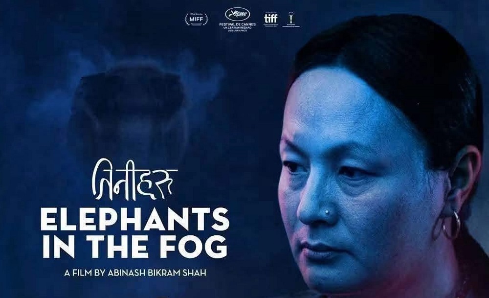 Elephant in the Fog
